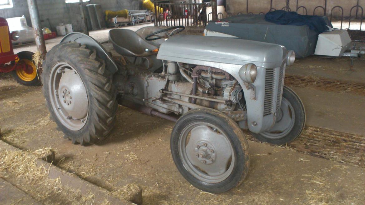 Ferguson 31 billede 2