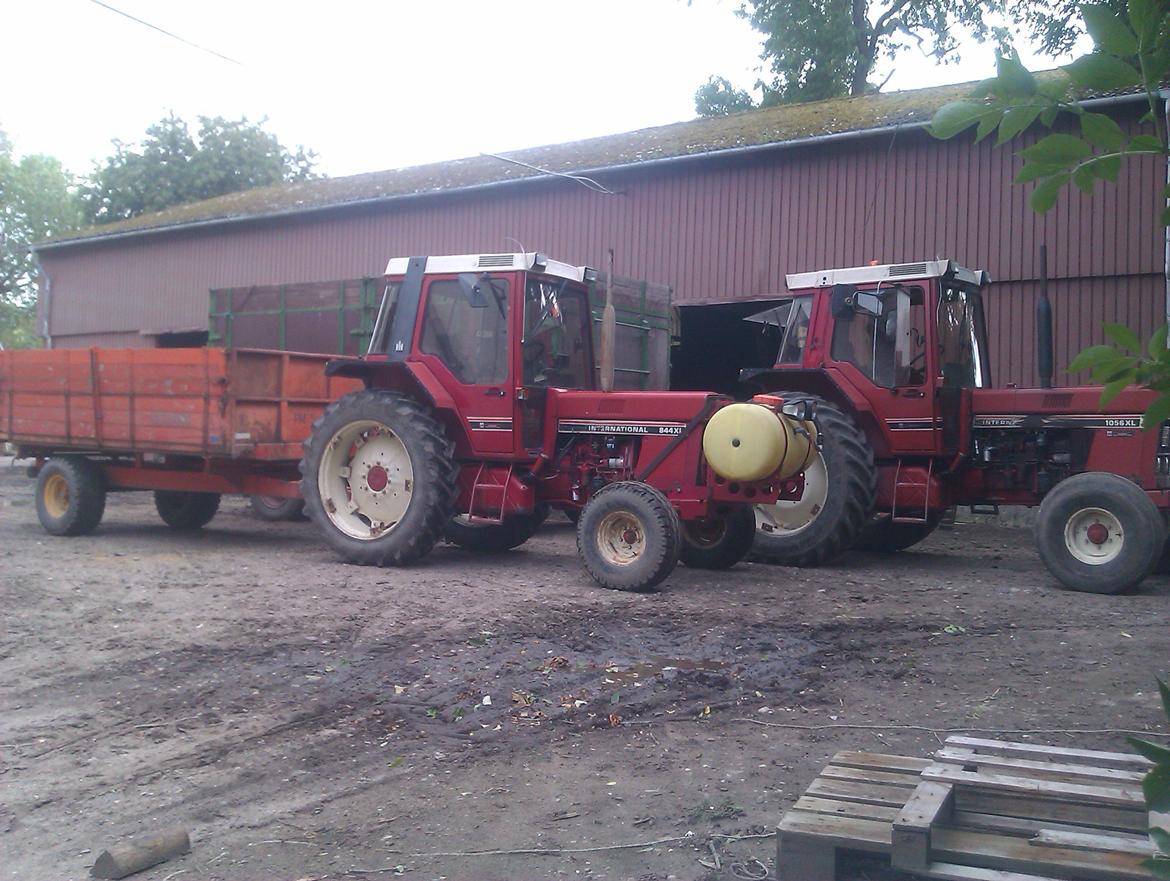 International Harvester 1056XL - to gode ih klar til høst billede 11