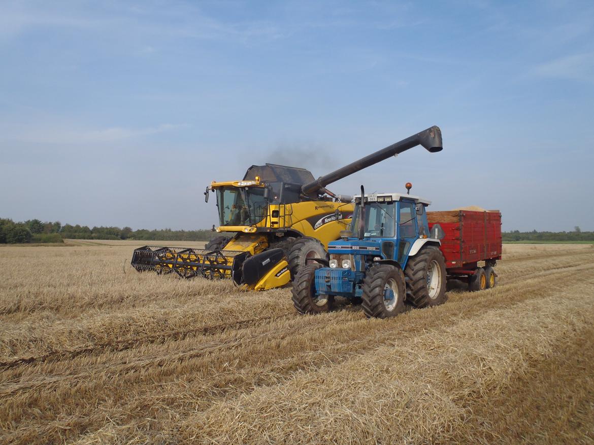 Ford 6610 - 6610 kører korn fra med 7,4 tons tim højtip billede 5