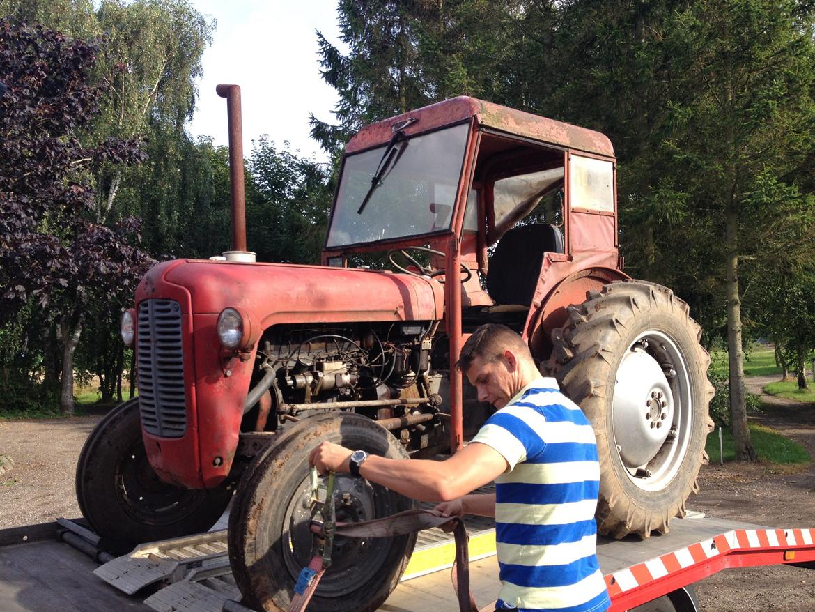 Massey Ferguson 35 D solgt billede 4