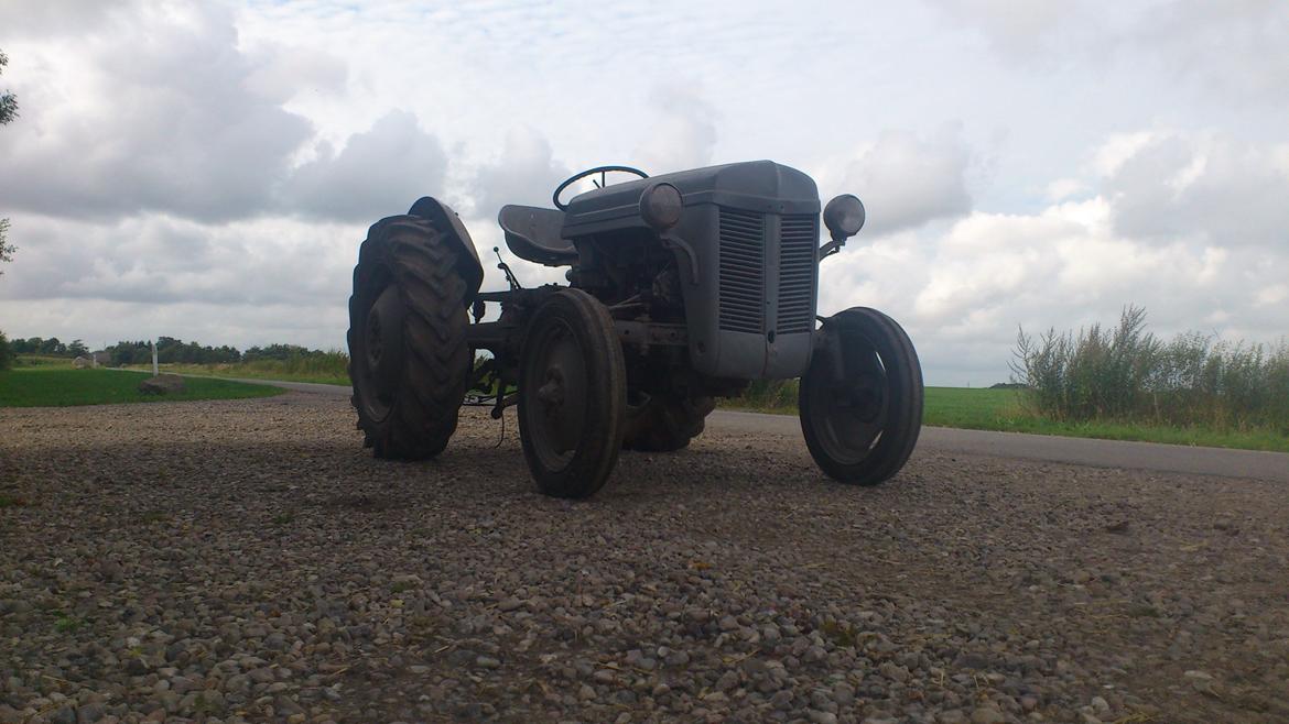 Ferguson 31 billede 7