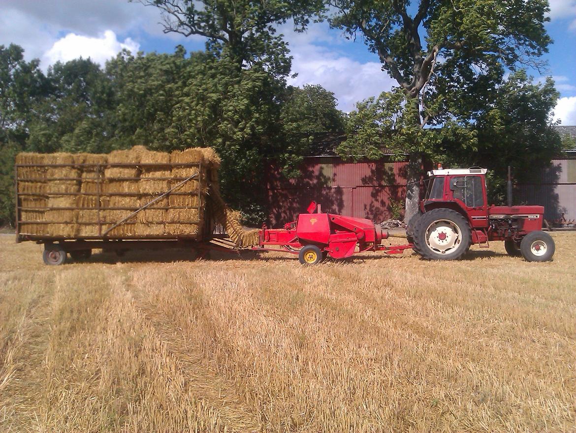 International Harvester 1056XL - IH med welgar og 200 baller  billede 13