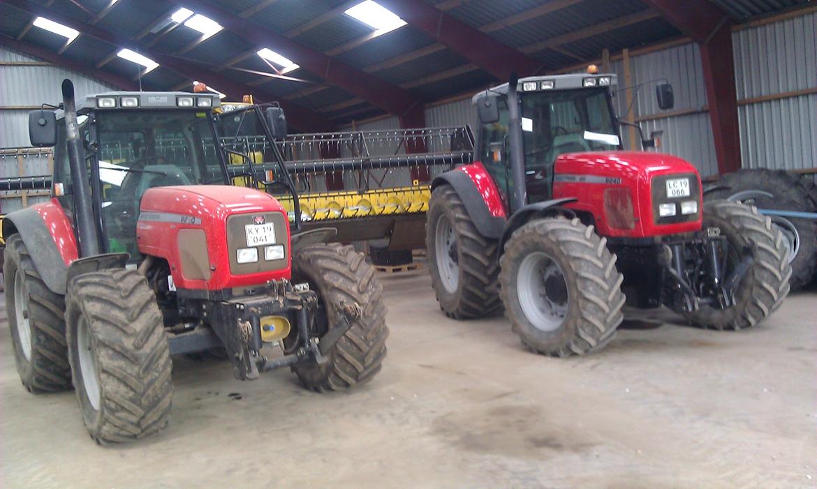 Massey Ferguson 8240 billede 1