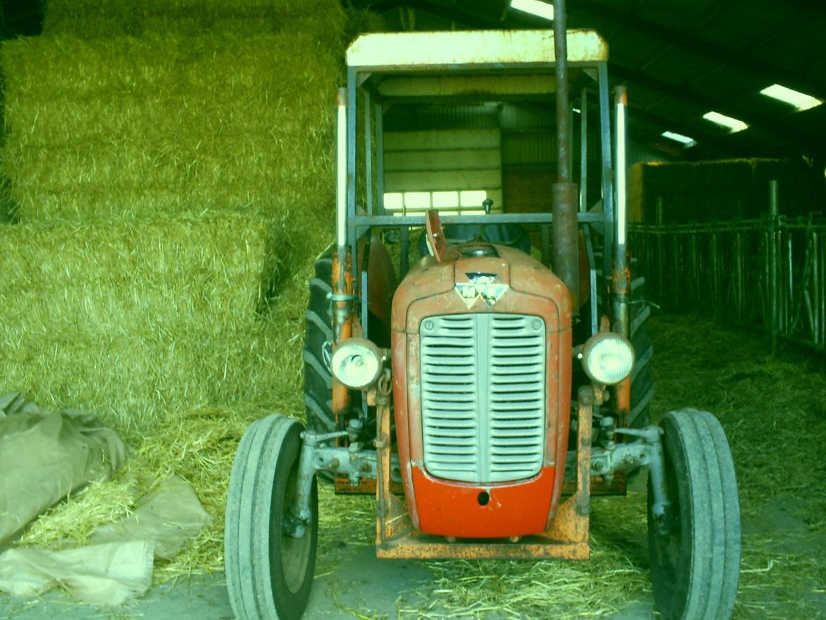 Massey Ferguson 35 (Ejer) lille røde billede 6