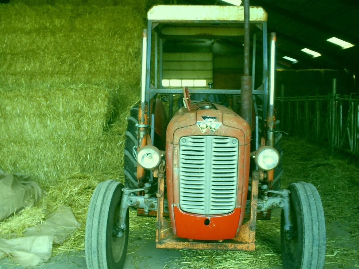 Massey Ferguson 35 (Ejer) lille røde billede 7