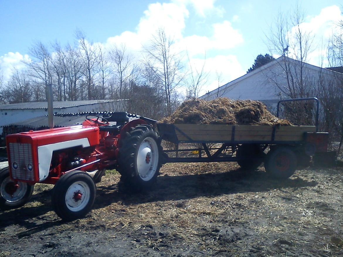 International Harvester 434 billede 18