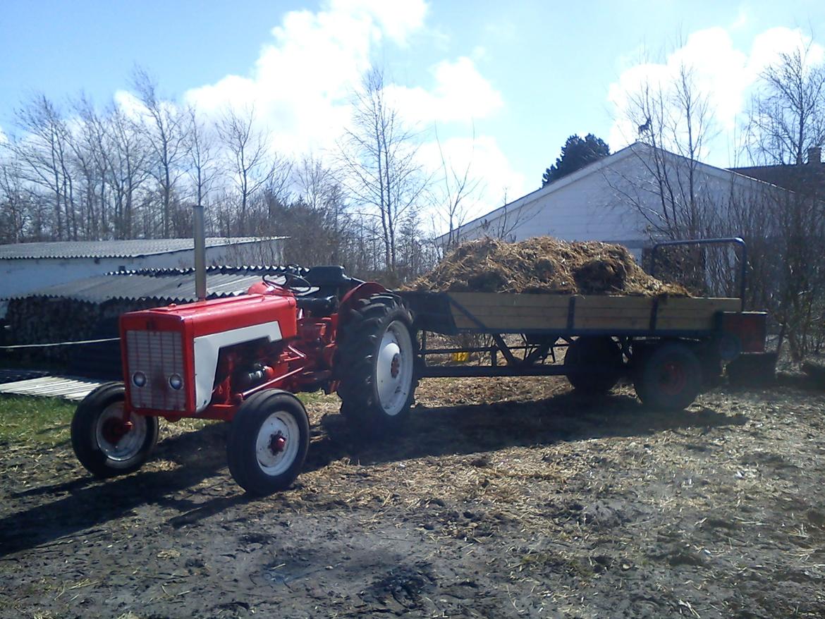 International Harvester 434 billede 19