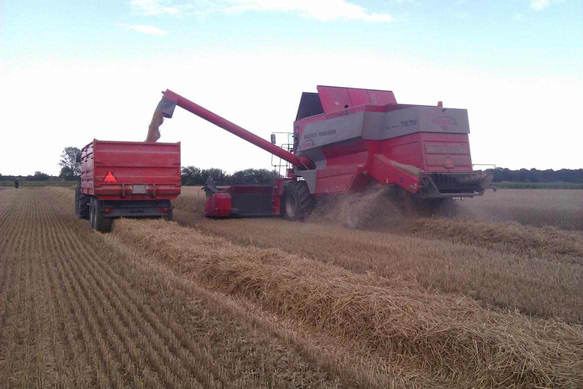 Massey Ferguson 6160 billede 12