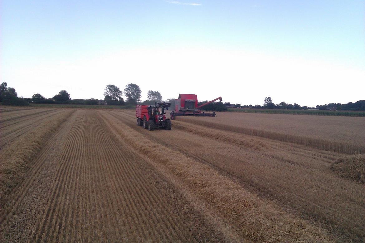 Massey Ferguson 6160 billede 16