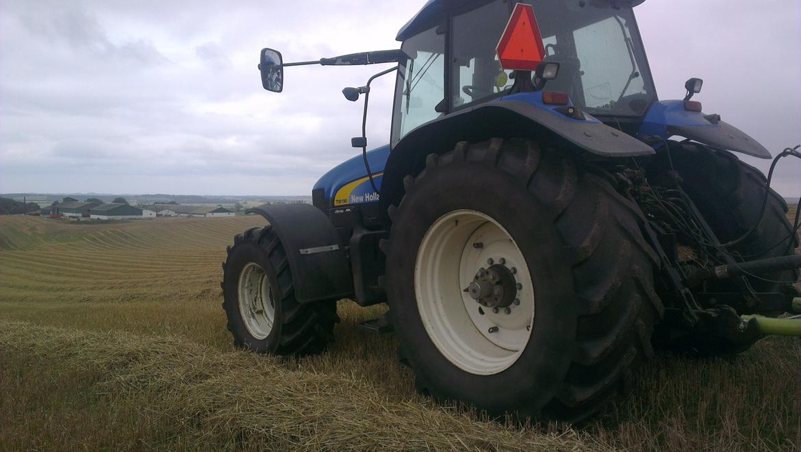 New Holland TM 190 - holder på en bette mark på omkring 70 ha der skulle rives :-D billede 11