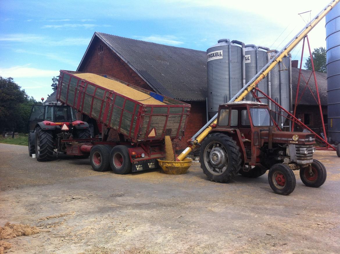 Massey Ferguson 8250 - når der læsses i silo billede 6