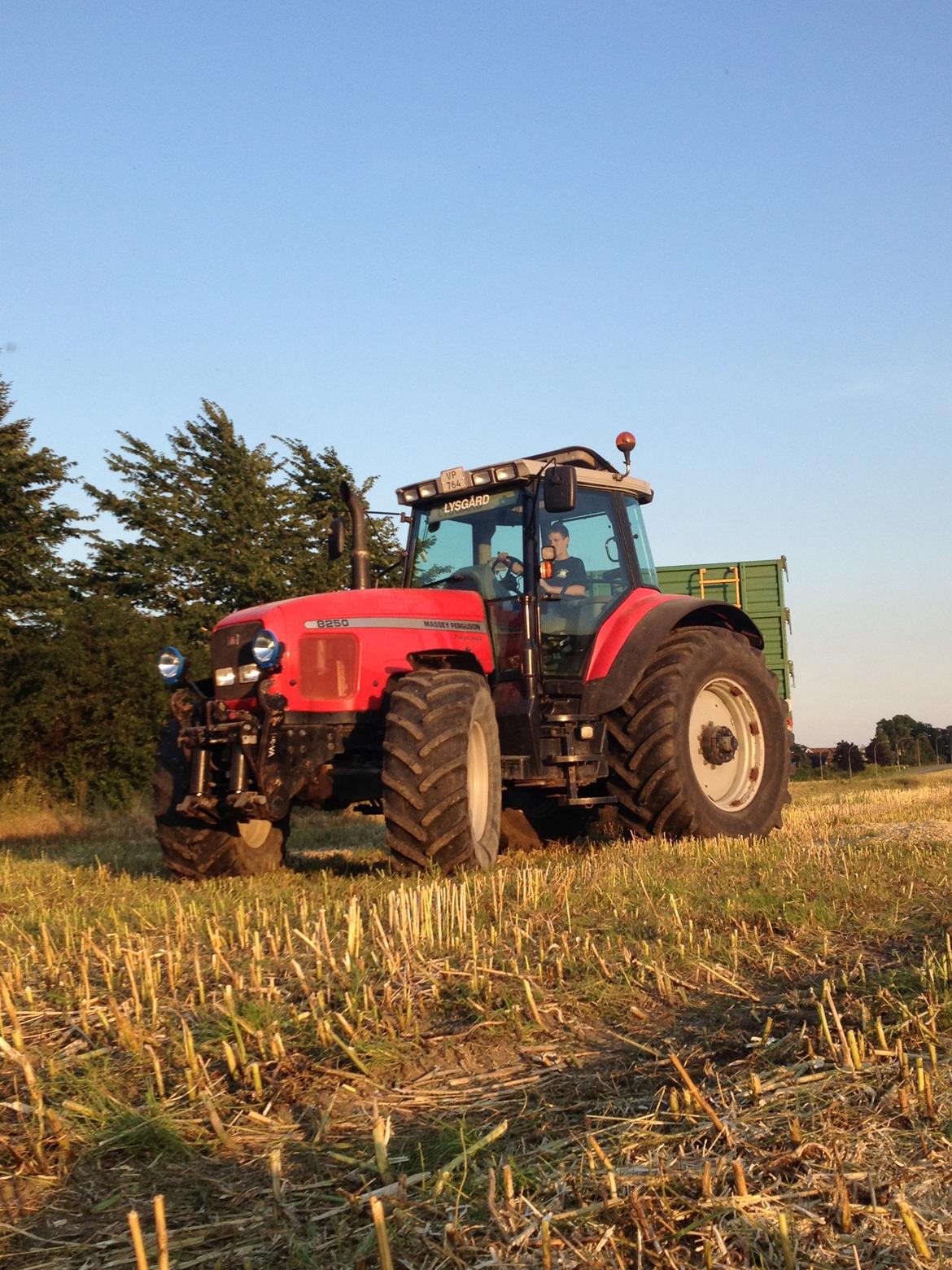 Massey Ferguson 8250 - høst 2012 billede 1