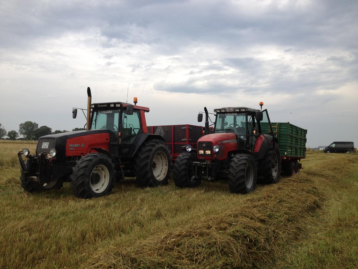 Massey Ferguson 8250 - høst 2012 billede 3