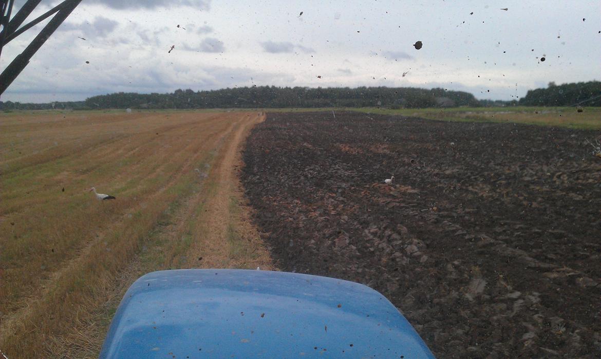 New Holland 8970 A billede 14