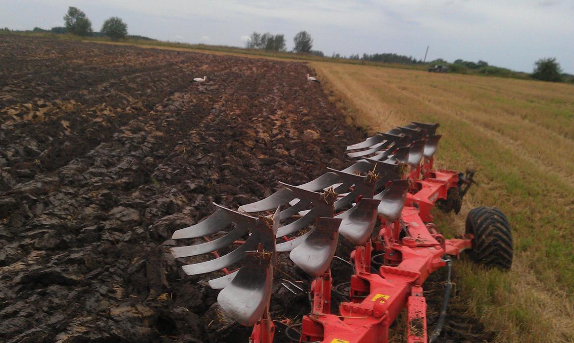 New Holland 8970 A - så storken ;D billede 16