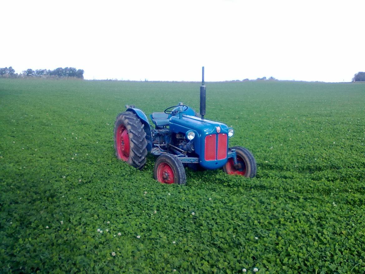 Fordson Dexta billede 1