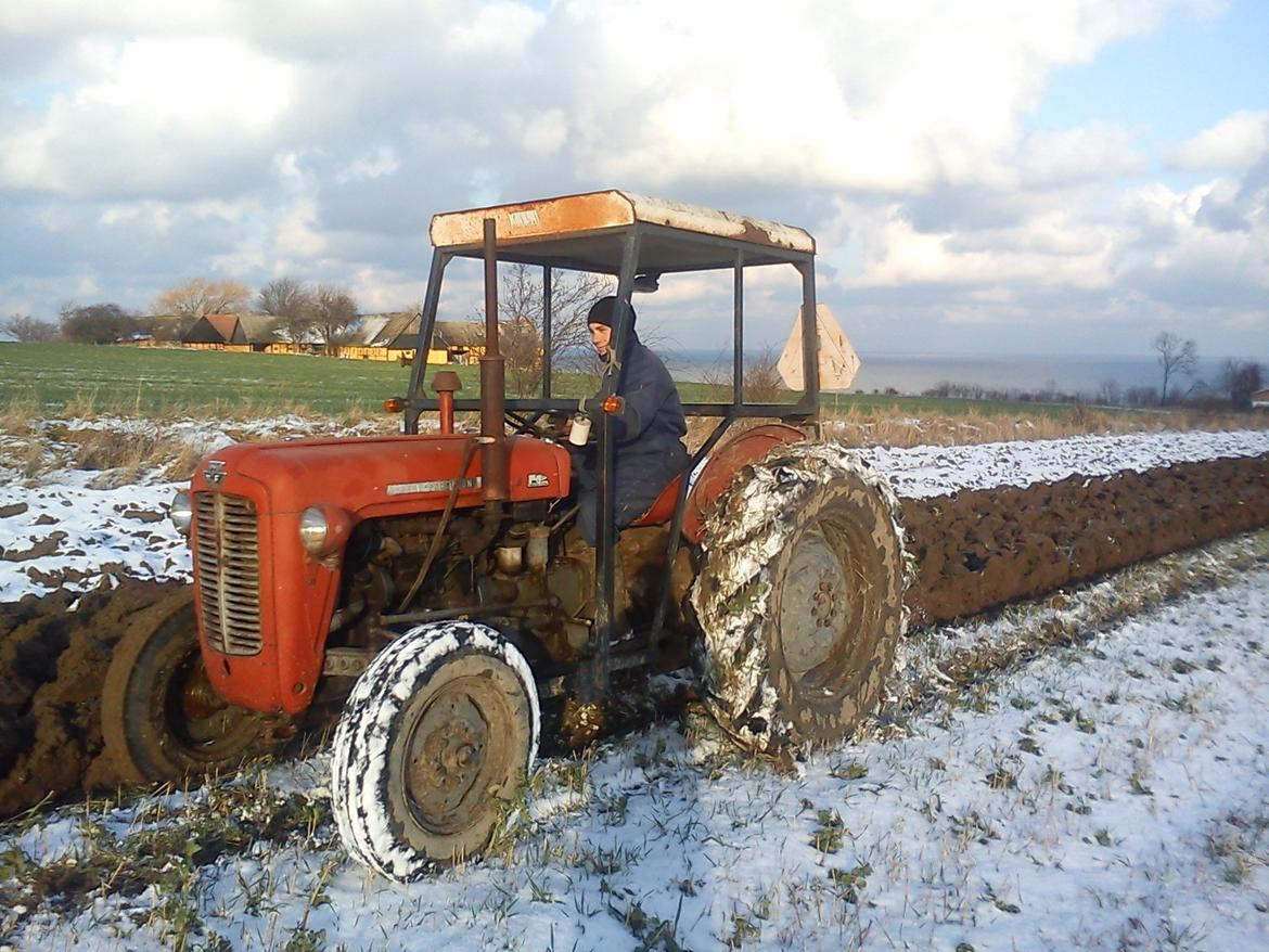 Massey Ferguson 35 Diesel billede 1