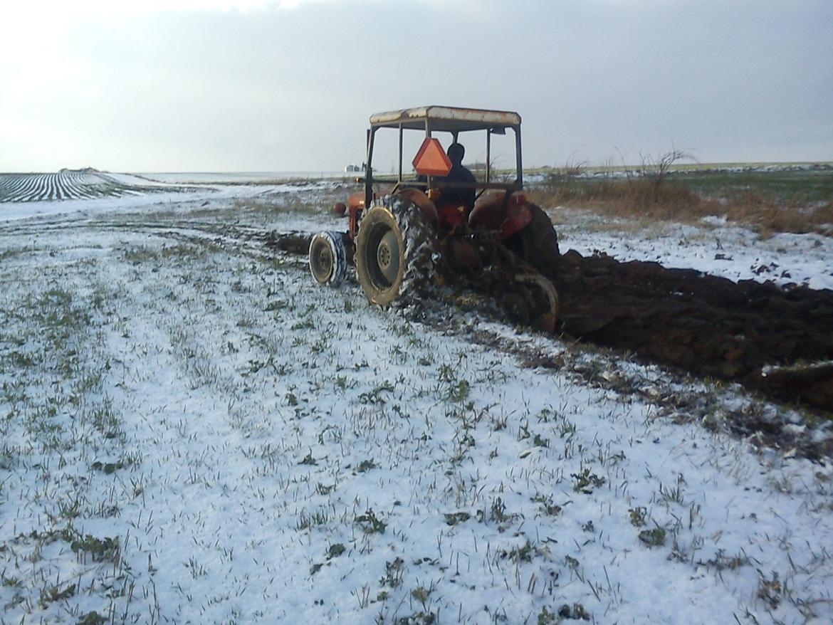 Massey Ferguson 35 Diesel billede 3