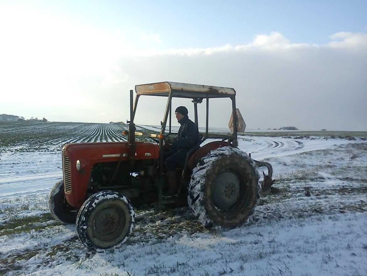 Massey Ferguson 35 Diesel billede 4