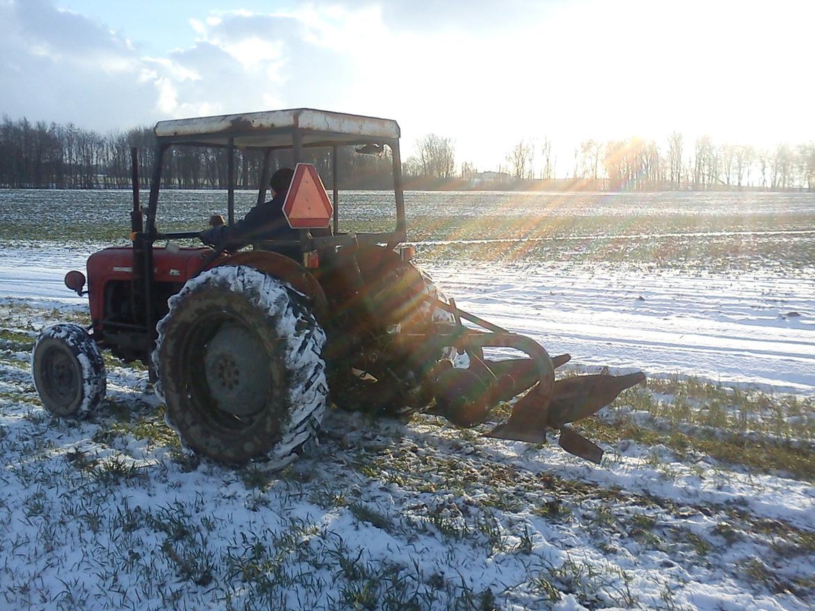 Massey Ferguson 35 Diesel billede 5