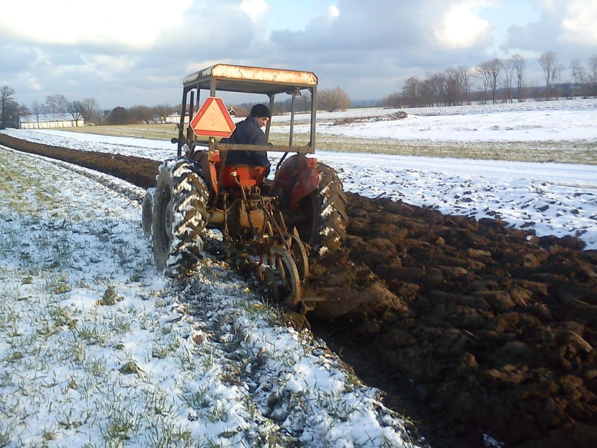 Massey Ferguson 35 Diesel billede 6