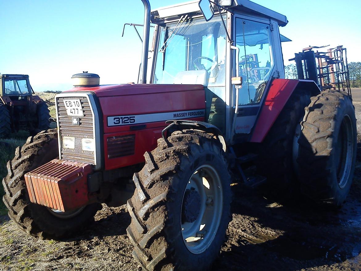 Massey Ferguson 3125 billede 1