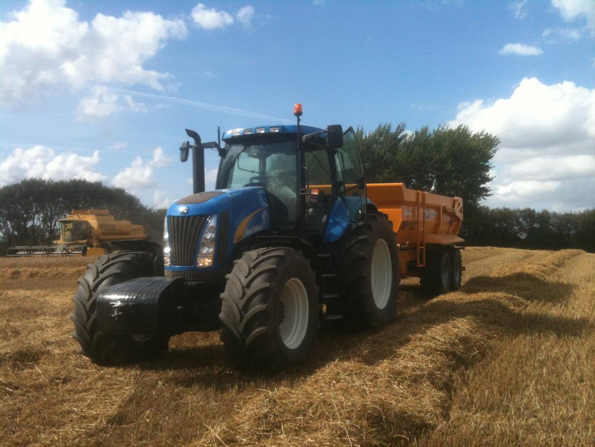 New Holland TG 285 - Der bliver høstet hvede, og TG 285´m ern kører fra med Richard Western WF-18D dumpervogn billede 4