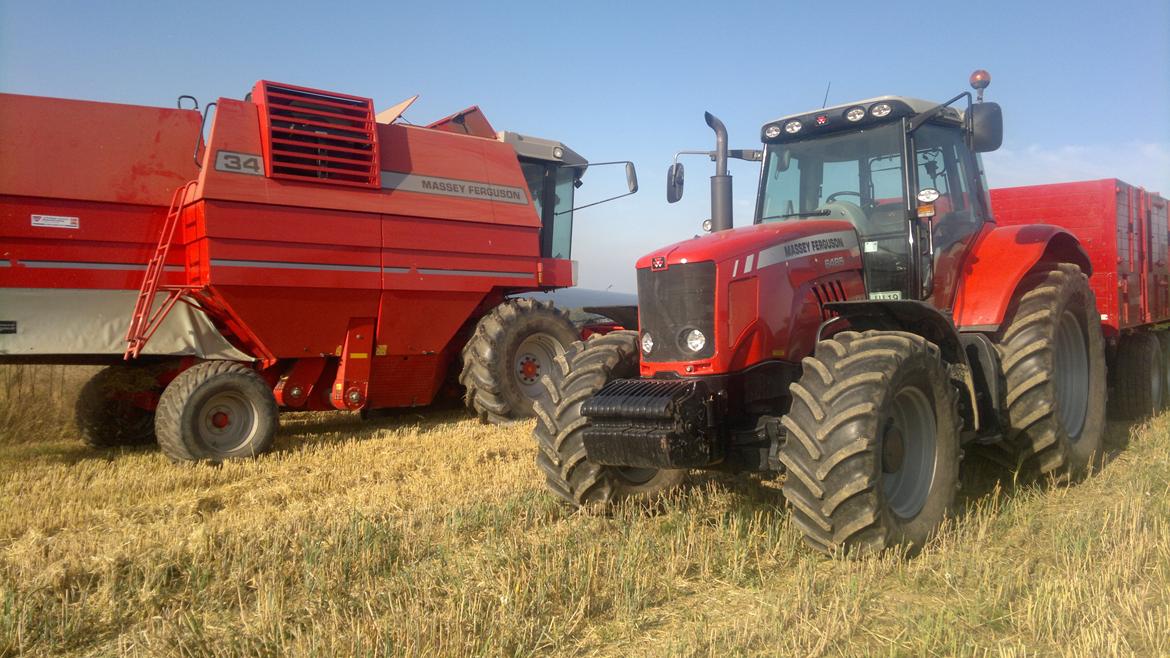 Massey Ferguson Dyna-6 6485 billede 17
