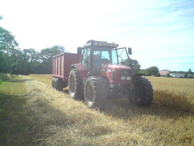Massey Ferguson 6290 billede 8