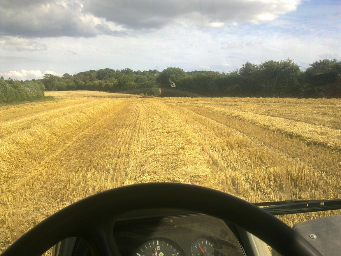 Massey Ferguson 6290 billede 9