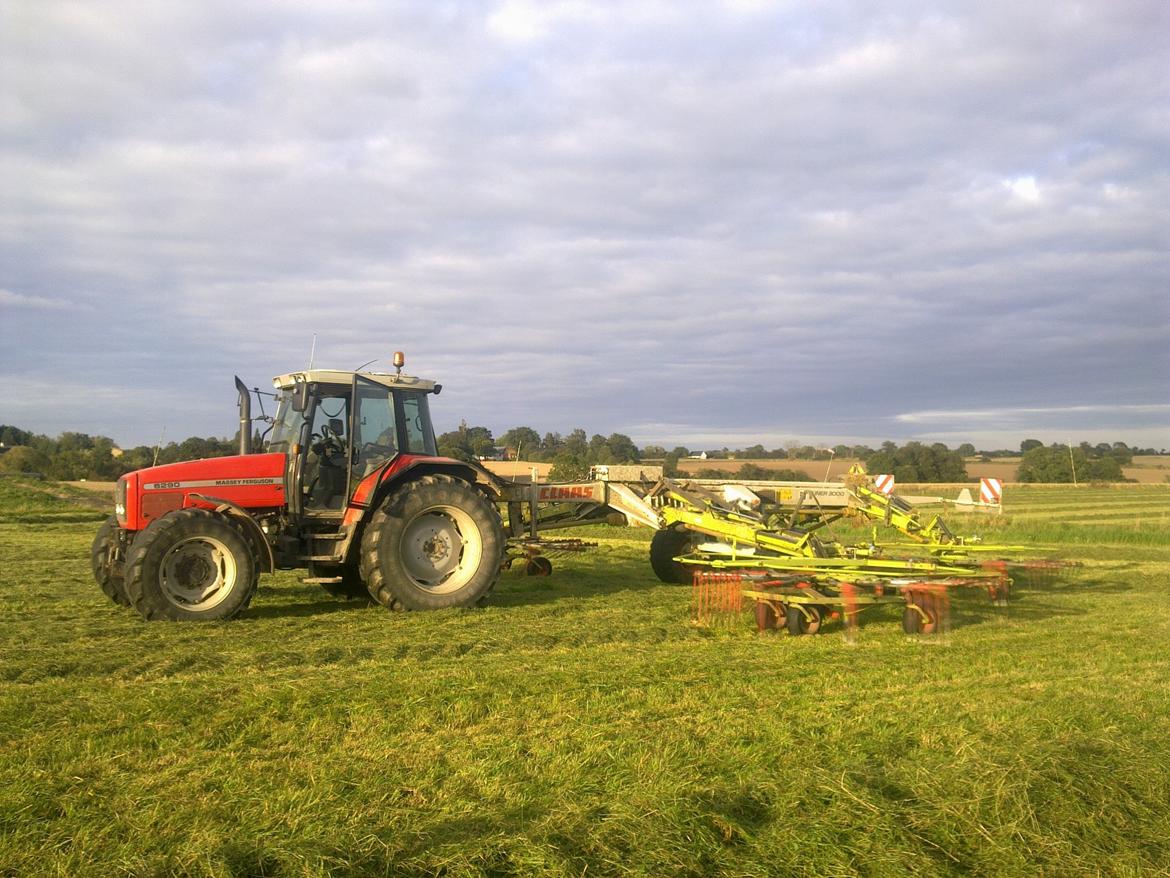 Massey Ferguson 6290 billede 10