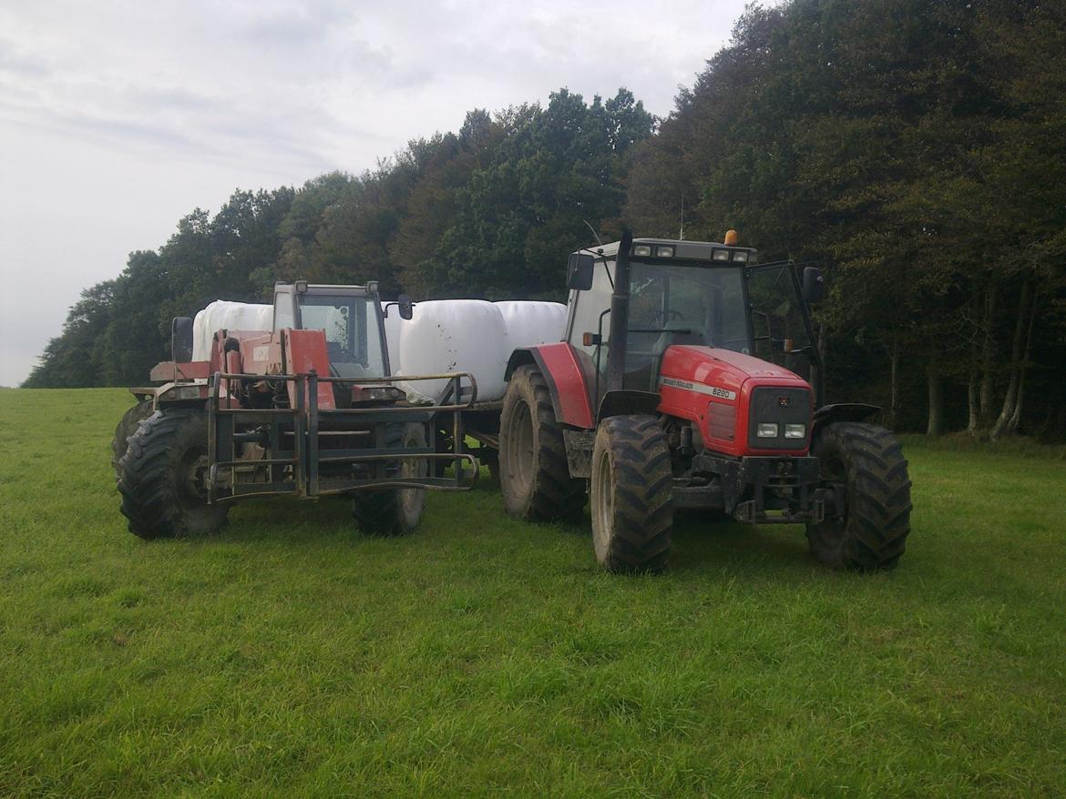 Massey Ferguson 6290 billede 11