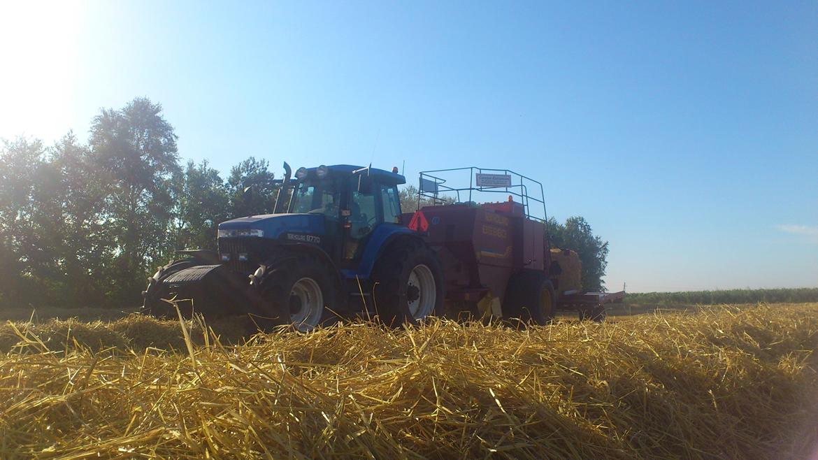 New Holland 8770 - Første baller med NH presseren i 2012. billede 2