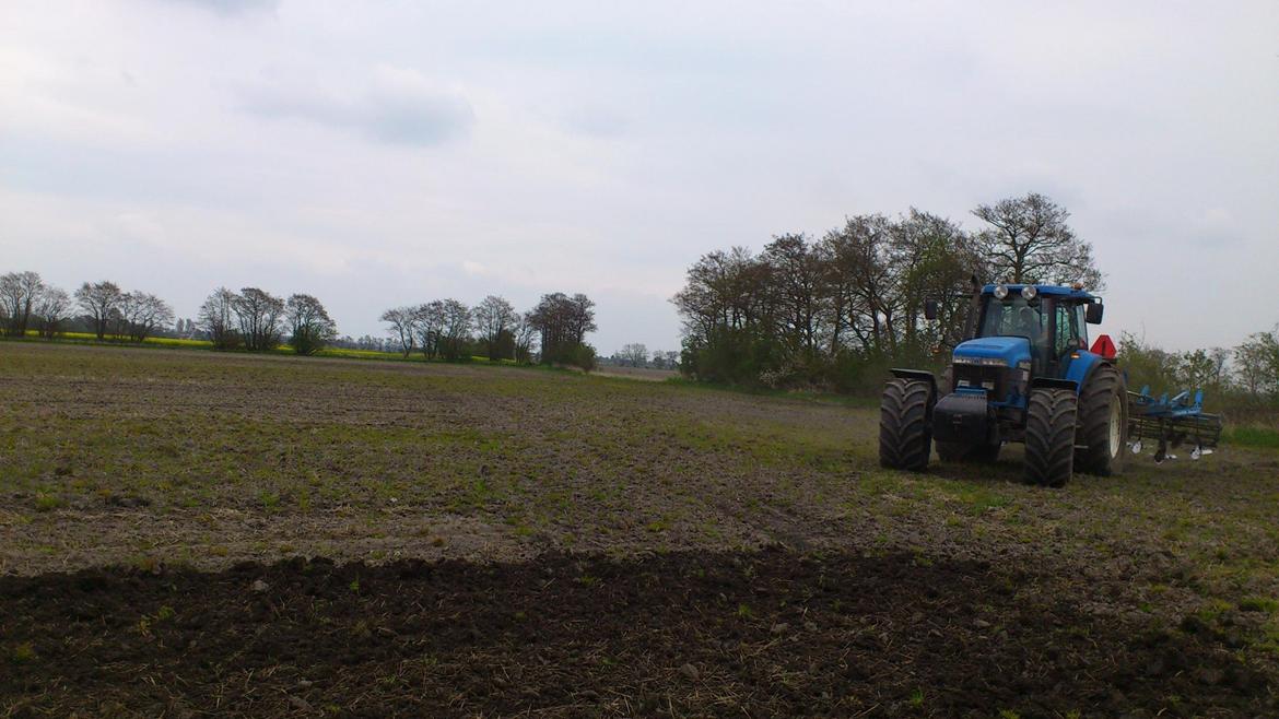 New Holland 8770 - Harvning med Lemken smagrad 5 meter. billede 8