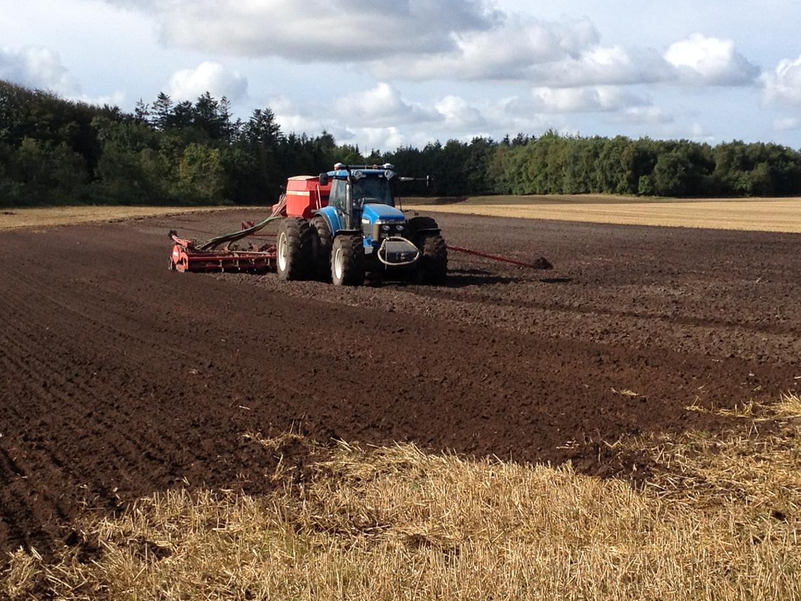 New Holland 8870 - Fik lige et billede af horsch igang mede at så noget rug :) billede 1