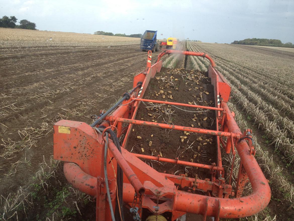 New Holland TM 155 - ja det er så udsigten fra bagvinduet når man har frilægger tjansen :) billede 16