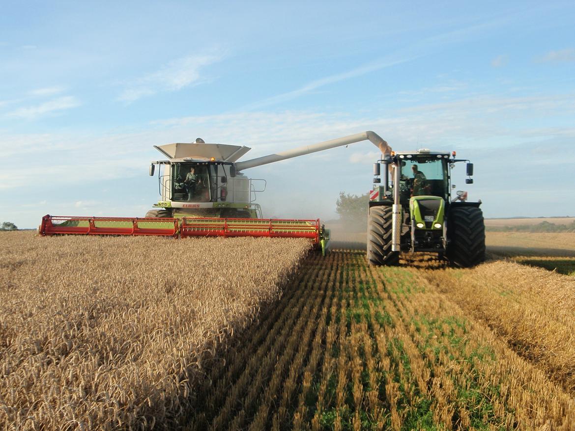 Claas Xerion 3800 billede 9