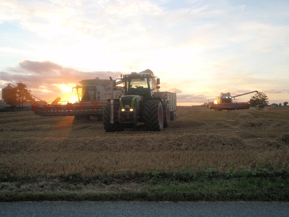 Claas Xerion 3800 - Sidste høstdag 8/9 - 2012 billede 10