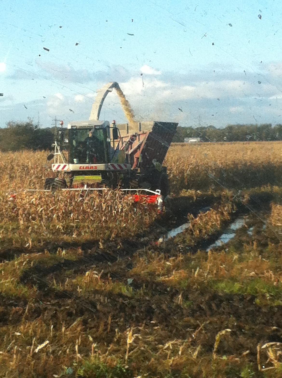 Fendt Favorit 611 Special billede 1