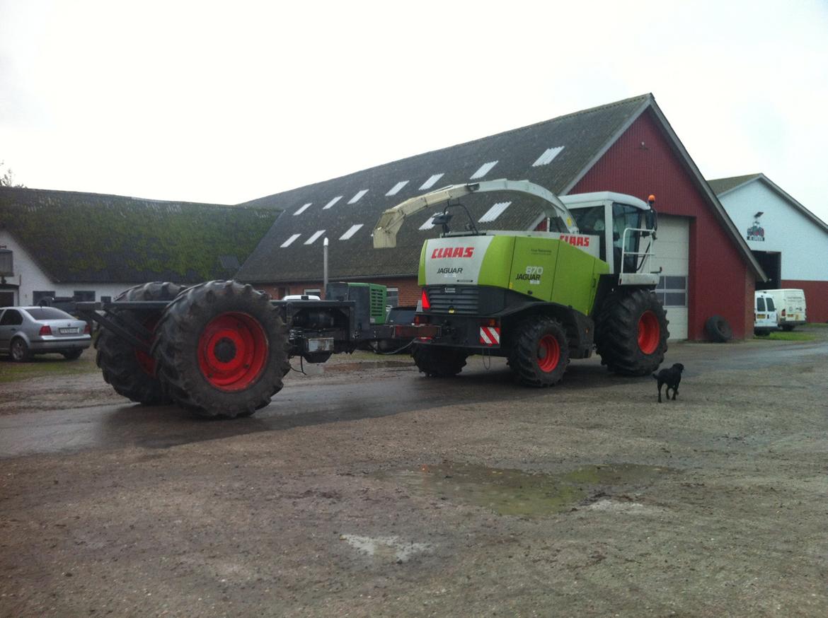 Fendt Favorit 611 Special billede 7