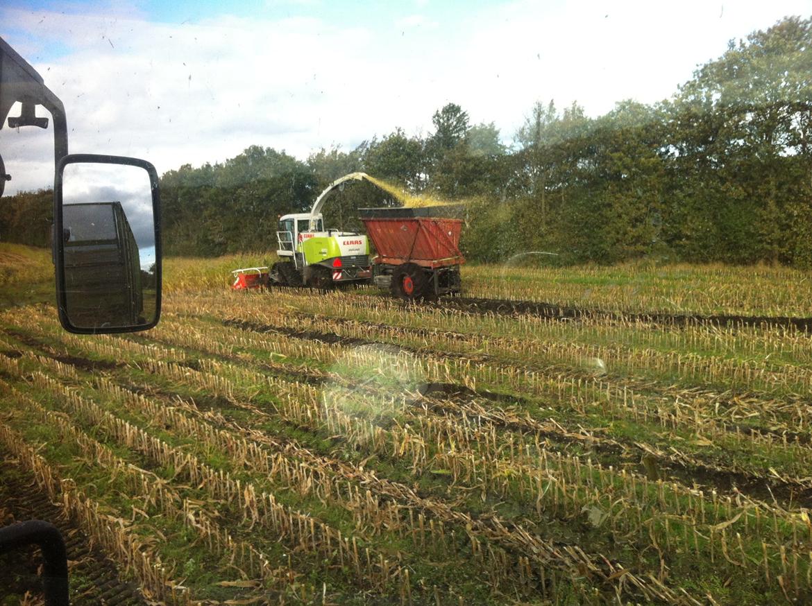 Fendt Favorit 611 Special billede 10