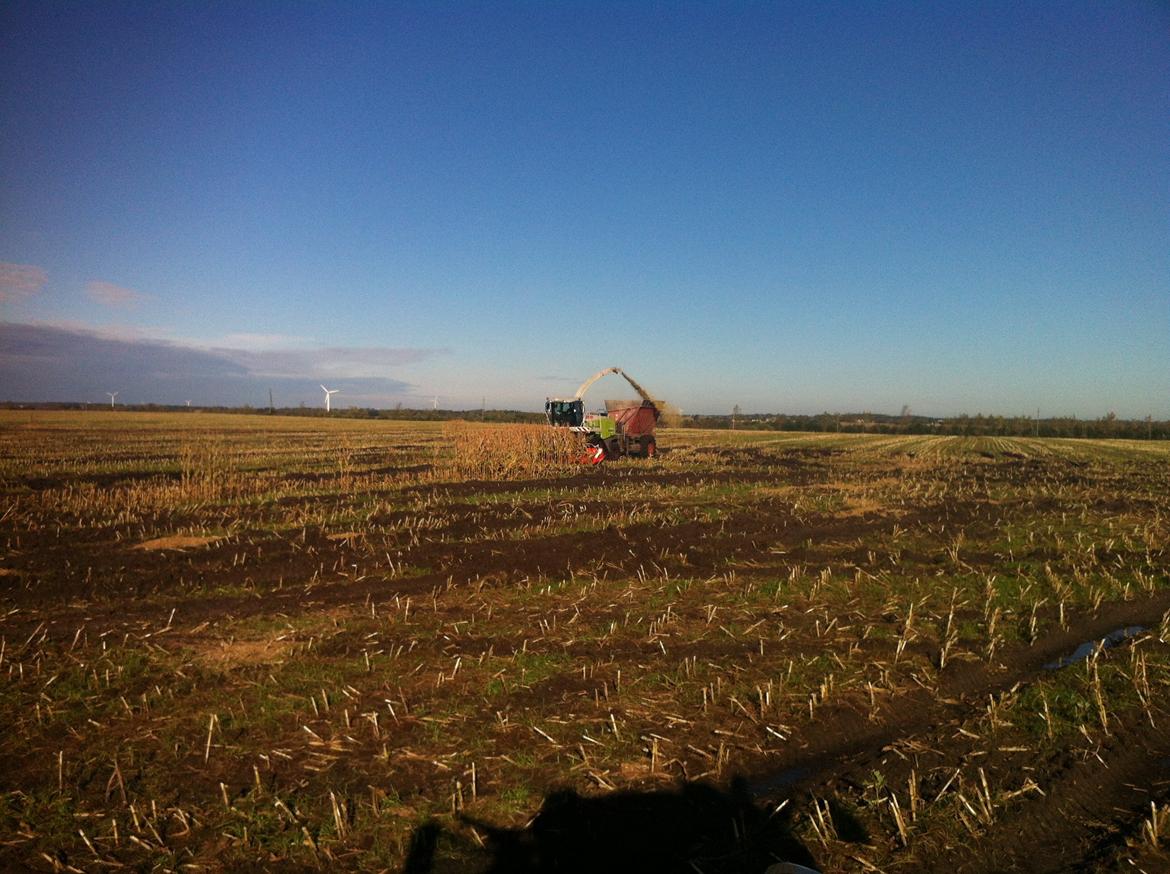 Fendt Favorit 611 Special billede 12