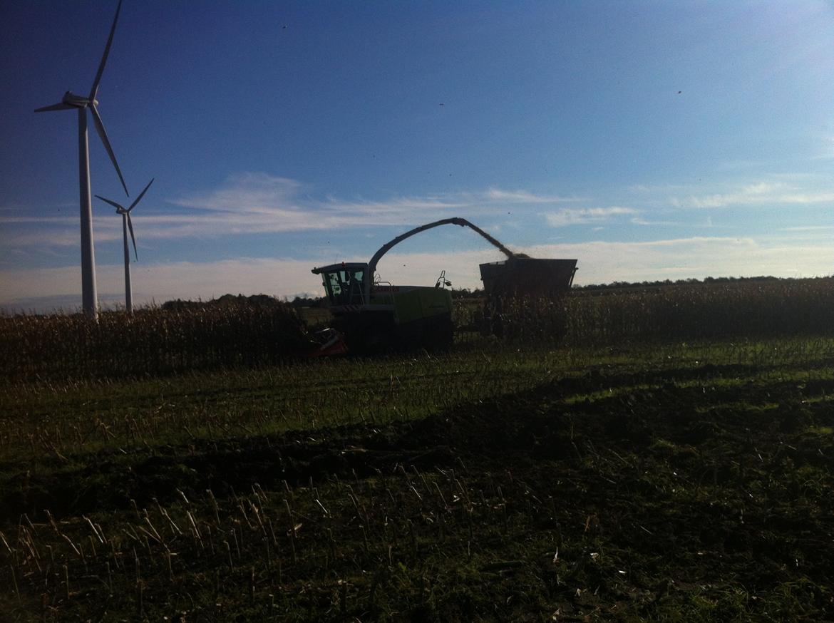 Fendt Favorit 611 Special billede 13