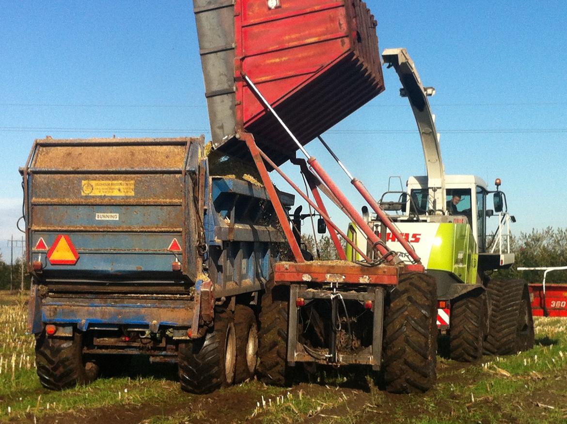 Fendt Favorit 611 Special billede 14