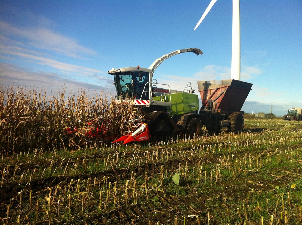 Fendt Favorit 611 Special billede 15