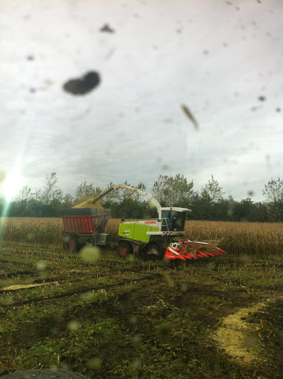 Fendt Favorit 611 Special billede 18