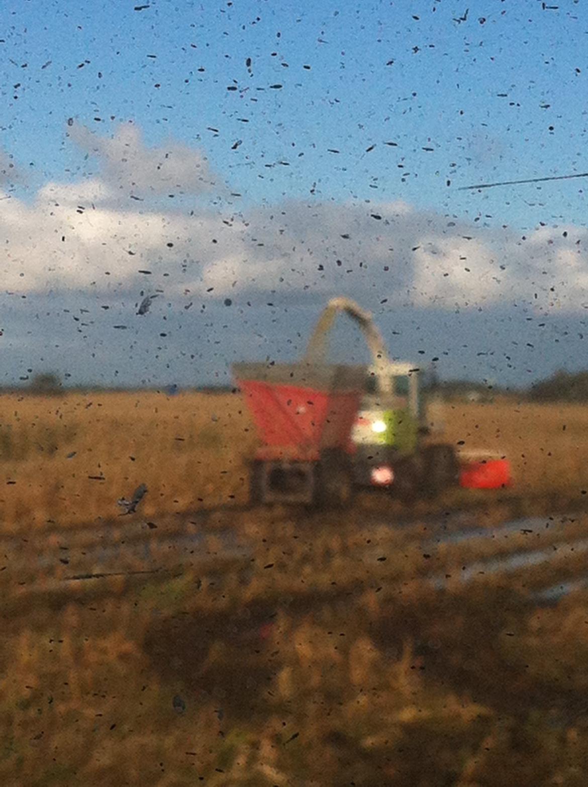 Fendt Favorit 611 Special billede 19