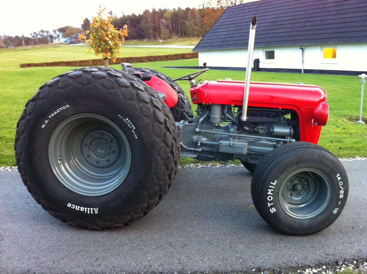 Massey Ferguson FE 35 Benzin billede 6