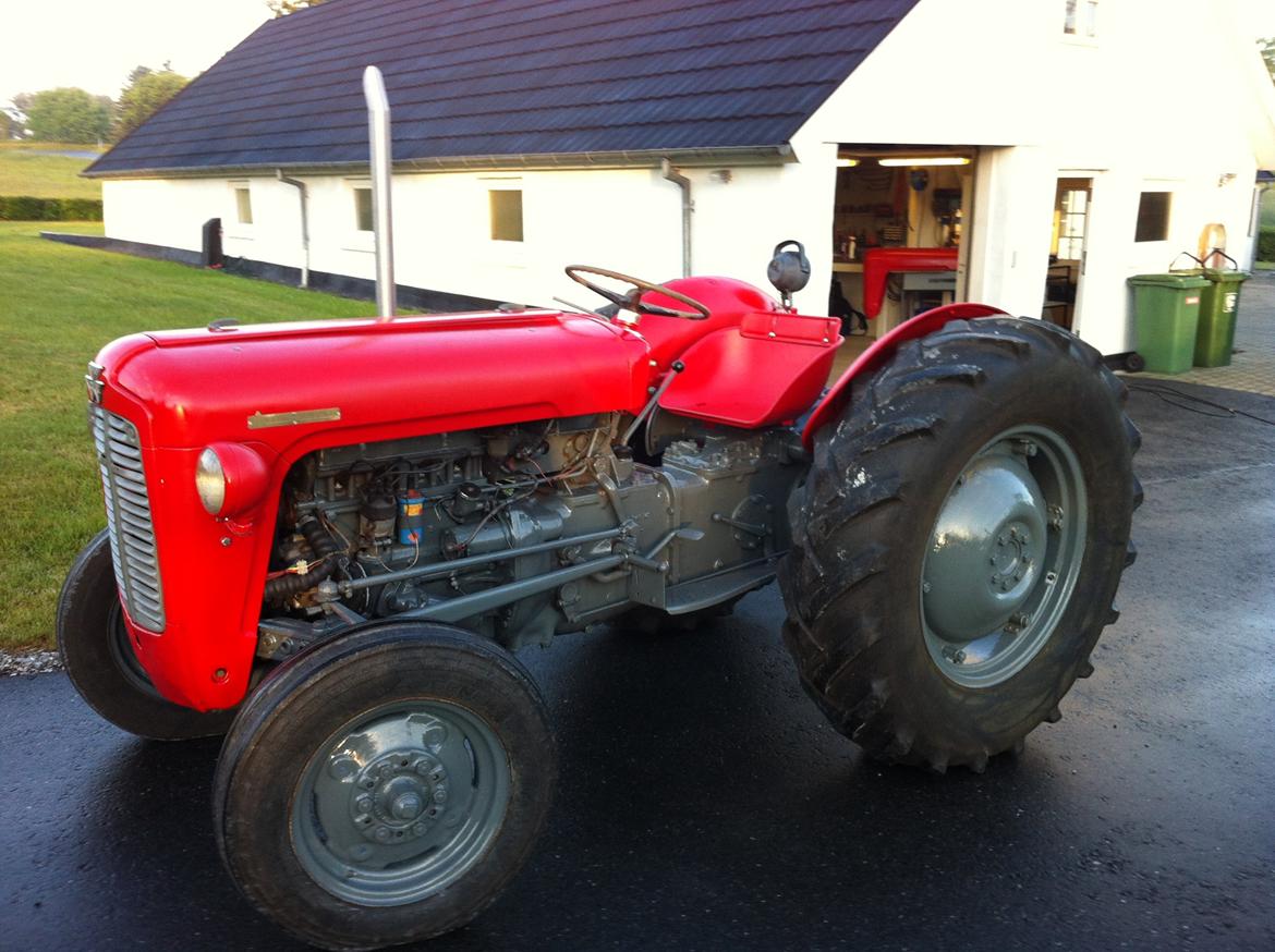 Massey Ferguson FE 35 Benzin billede 6