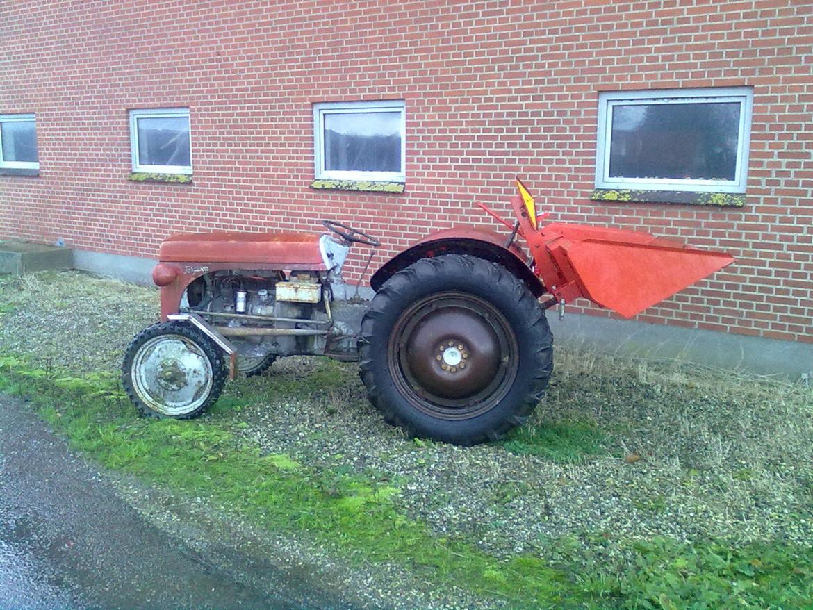 Massey Ferguson 31 billede 2